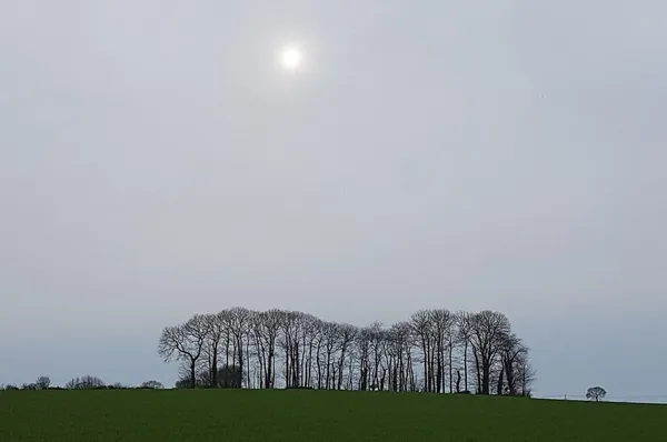 Plan-de-CAMpagne